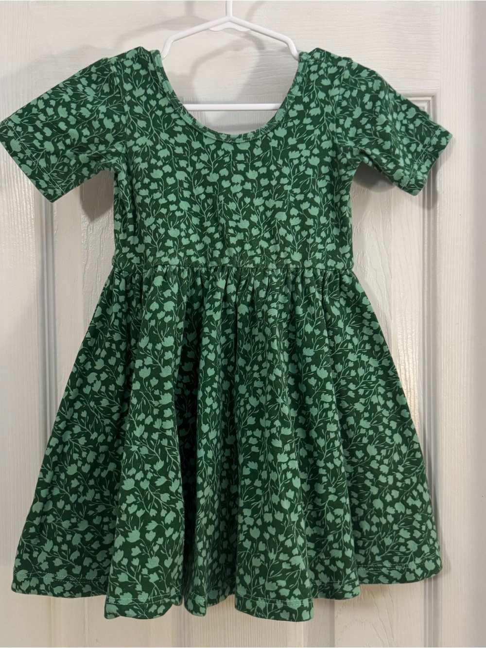Alice + Ames Baby Girl Green Floral 3/4 Short Sleeve Twirl Dress